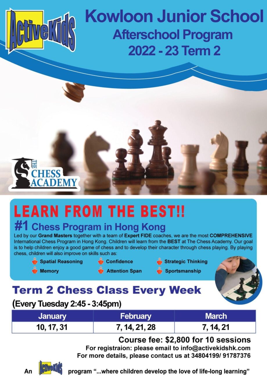 thechessacademy – Page 2